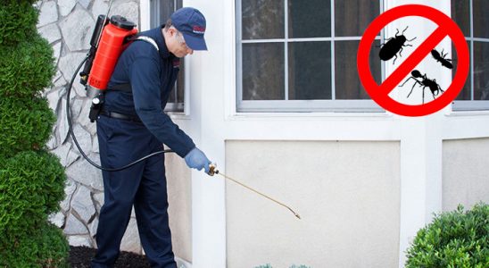 Bozyazı Haşere İlaçlama böcek ilaçlama ve haşere kontrolü — ilaclama-tr.com
